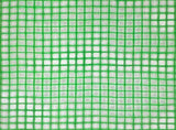 Tarpaulin with Eyelets Green 8 x 8 m 140 gsm PE 42039255