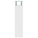 241244 Shoe Cabinet with a Drawer and a Top Glass Shelf Wood White