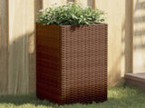 Garden Planters 2 pcs Brown 30x30x60 cm Poly Rattan 3210517