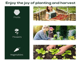 Mini Walk-in Greenhouse 70850743