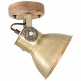 320509 Industrial Wall/Ceiling Lamps 2 pcs Brass 20x25 cm E27