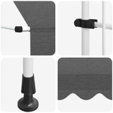 143690 Manual Retractable Awning 300 cm Anthracite