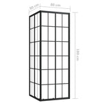 ZNTS Shower Cabin ESG 80x80x180 cm 150770