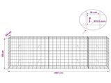 Gabion with 3.5 mm Wire and 10x10 cm Mesh 250x50x100 cm 3463295
