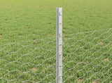 Welded Wire Fence 25 x 0.5 m Hot-Dip Galvanised Steel 3336988