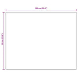 Frameless Mirror 100x60 cm Glass 283647