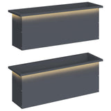 Garden Planter with LED 2 pcs Antracite 30 x 100 x 30 cm Steel 8008117