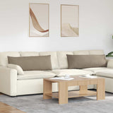 Sofa Pillows 2 pcs Taupe 120 x 40 cm Fabric 42013811
