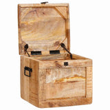 Storage Box with Storage with Door Brown Solid Mango Wood 4104569
