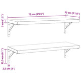 Wall Shelves 2 pcs 75x30 cm Silver Stainless Steel 3214506