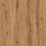 TV Cabinet Artisan Oak 102x37.5x52.5 cm Engineered Wood 856783