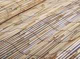 Garden Fence 600x100 cm Reed 365751