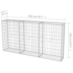ZNTS Gabion Basket Galvanised Steel 200x30x100 cm 142548