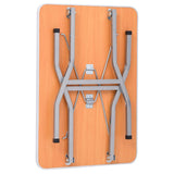 Adjustable Dog Grooming Table with 2 Loops and Basket 171068