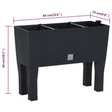 Raised Garden Bed Anthracite 60x25x46 cm PP Rattan 152208