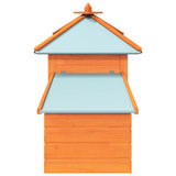 Outdoor Chicken Coop 170220