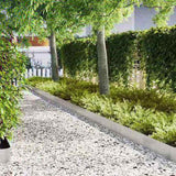 Lawn Edging 50 pcs Silver 100 x 0.05 x 20 cm Stainless Steel 3335778