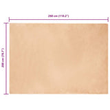 Anti-Slip Faux Rabbit Fur Rug OLITE Taupe 200 x 280 cm 42021749