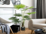 Artificial Plant 10814316