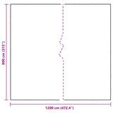 Plant Cover Transparent 8 x 12 m PE 3429331