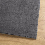 ZNTS Rug HUARTE Short Pile Soft and Washable Anthracite 80x150 cm 374995