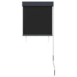 Outdoor Roller Blind 60x250 cm Anthracite 145946