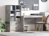 Desk with Drawer with Shelf with Storage 2 pcs Concrete Grey 3337356