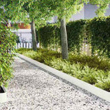 Lawn Edging 50 pcs White 100 x 0.05 x 20 cm Cold Rolled Steel 3335775