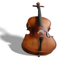 Full Side 4/4 Matte Natural Color Spruce Panel Cello with Bag Bow Rosin Bridge Strings 48508763