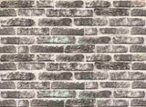 Wall Panels 10 pcs Dark Grey and White 100 x 50 cm EPS Foam 332925