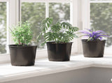 Flower Pot 200 pcs Black 15 x 13 cm Plastic 42029495