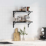 Wall Shelves 2 pcs 50x23.5 cm Black Stainless Steel 3214519