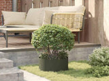 Planter Ring 5 pcs Olive Green 30 x 30 x 20 cm 873599