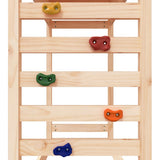 Outdoor Playset Solid Wood Pine 3156979