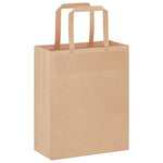 ZNTS Paper Bags 250 pcs with Handles Brown 18x8x22 cm 4101810