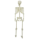 Halloween Skeleton White 155 x 38.5 cm Polypropylene 42020048