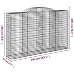 Arched Gabion Baskets 10 pcs 300x50x180/200 cm Galvanised Iron 3146781