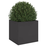 ZNTS Planter Black 42x40x39 cm Cold-rolled Steel 841547