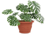 Plant Pots 24 pcs Brick Red 22 x 18 cm Plastic 3403280