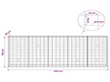Gabion with 5 mm Wire and 10x10 cm Mesh 250x30x100 cm 3465119