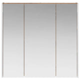 Bathroom Mirror Cabinet Old Wood 73.5 x 15.5 x 70 cm 889261