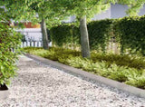 Lawn Edging 20 pcs Silver 100 x 0.05 x 20 cm Stainless Steel 865959