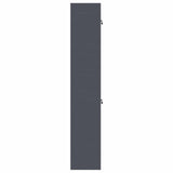 Storage Cabinet 2 pcs Anthracite 60 x 40 x 220 cm Steel 3438707
