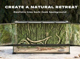 Reptile Glass Terrarium with Stone Background, Front Ventilation, Escape-Proof Knob Lock, 50 x 30 x T3398P548050