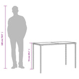 Garden Table with Glass Top Grey 115x54x74 cm Poly Rattan 365073
