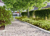 Lawn Edgings 50 pcs White 10x103 cm Cold-rolled Steel 860137