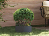 Planter Ring 5 pcs Anthracite 30 x 30 x 20 cm Cold-rolled Steel 873597
