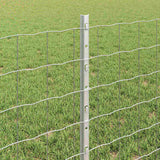 Fence and Post Silver 0.6 x 10 m Steel 3336215