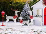 3-Piece Lighted Christmas Reindeer Family Set Outdoor Decorations, Weather Proof 2D Deer Family Set 92590347