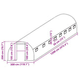 Greenhouse Replacement Cover 300x1200x200 cm Green 316433